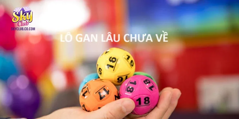 Lô gan là gì?